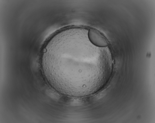 X0000091851263200710031633
