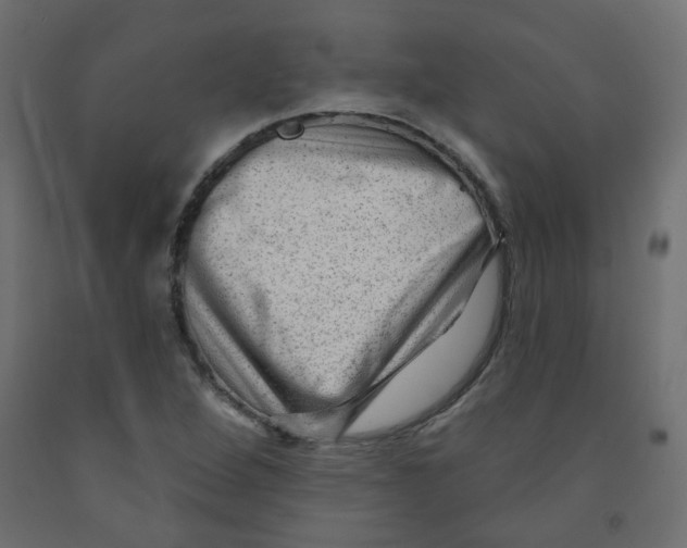 X0000091851264200710031633