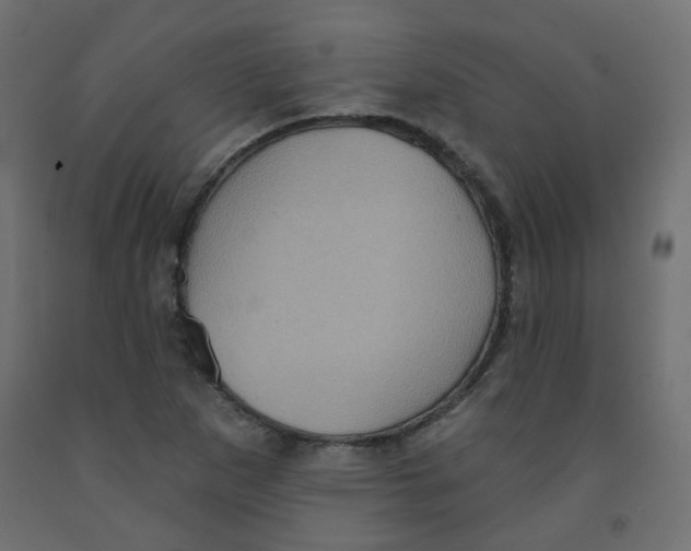 X0000091851265200710031633