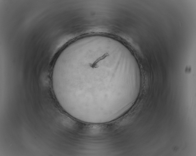 X0000091851266200710031633
