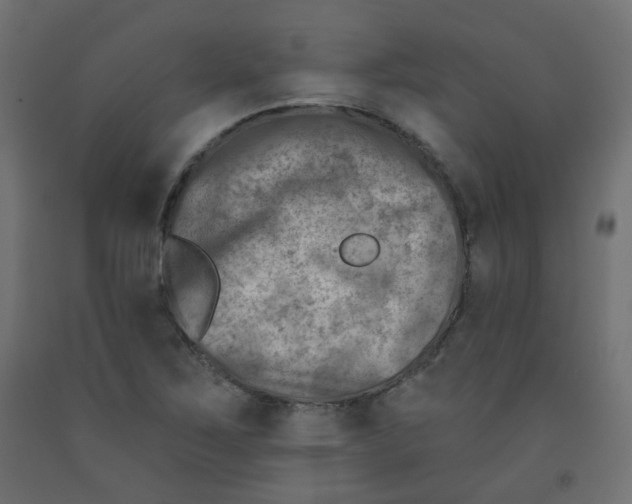 X0000091851267200710031633
