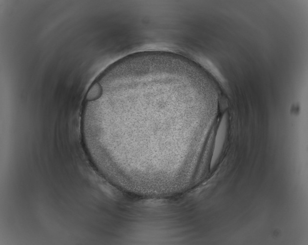 X0000091851268200710031633