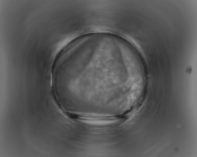 X0000091851269200710031633