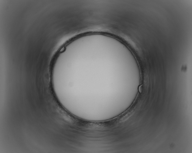 X0000091851270200710031633