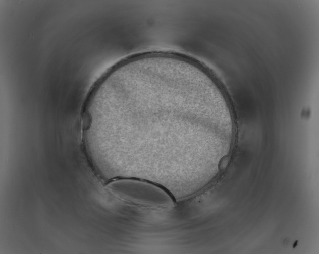X0000091851271200710031633