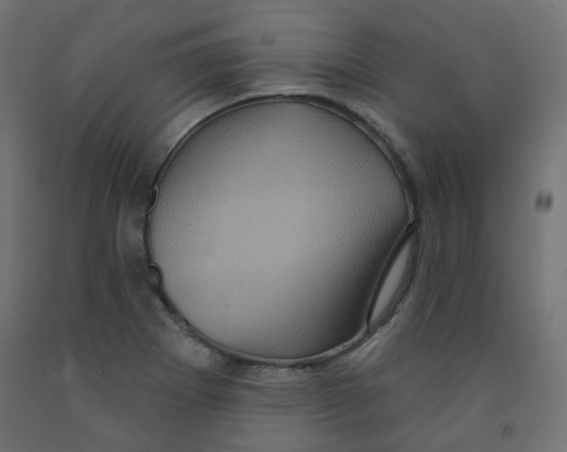 X0000091851273200710031633