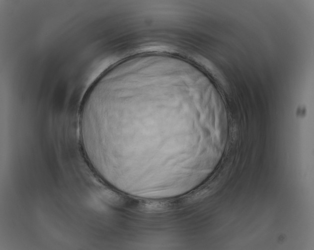 X0000091851274200710031633