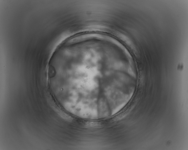 X0000091851275200710031633