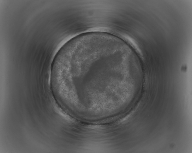X0000091851276200710031633