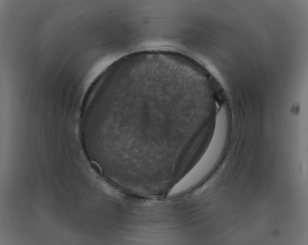 X0000091851277200710031633
