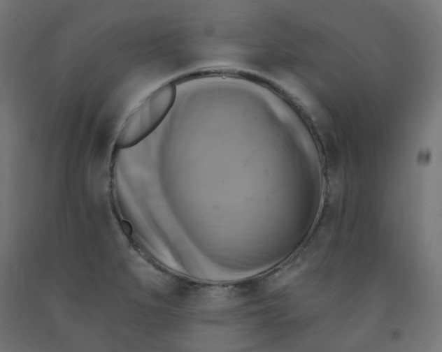 X0000091851279200710031633