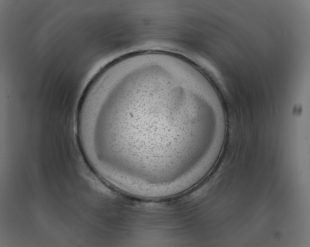 X0000091851280200710031633