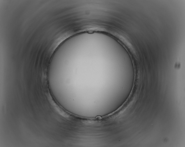 X0000091851281200710031633