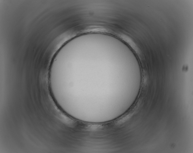 X0000091851282200710031633