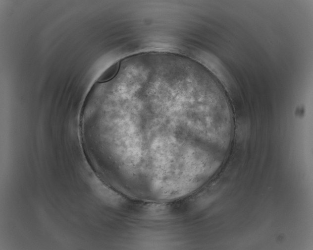X0000091851283200710031633