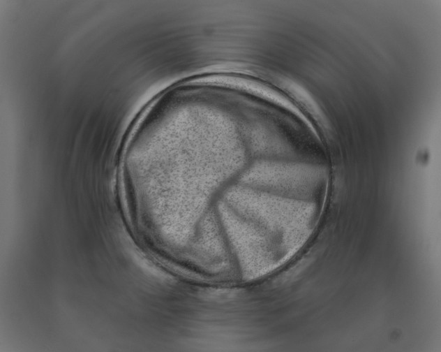 X0000091851284200710031633
