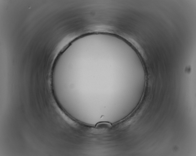 X0000091851285200710031633