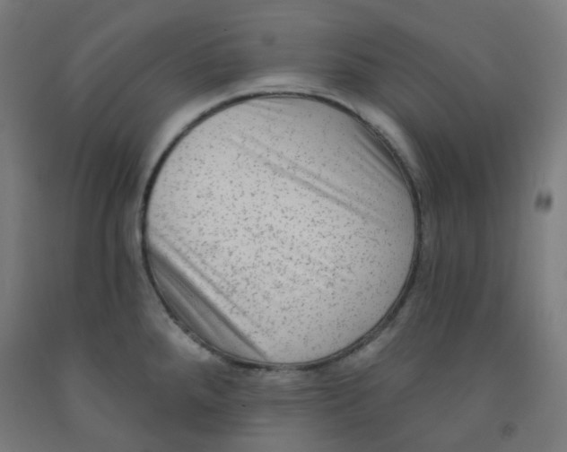 X0000091851288200710031633