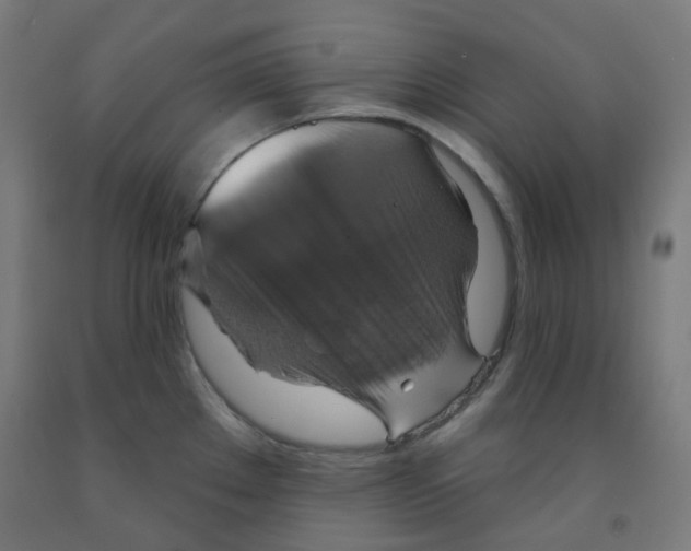 X0000091851289200710031633