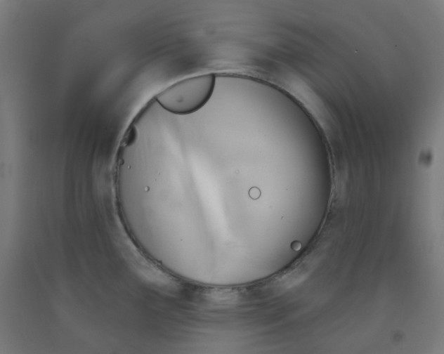 X0000091851291200710031633