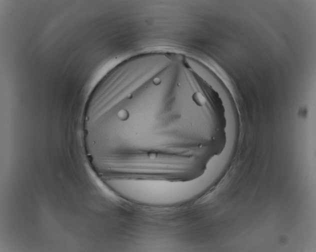 X0000091851293200710031633