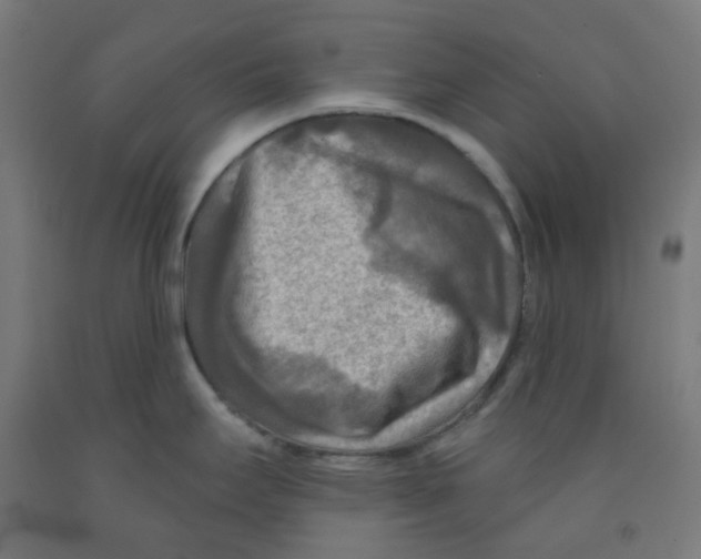 X0000091851295200710031633