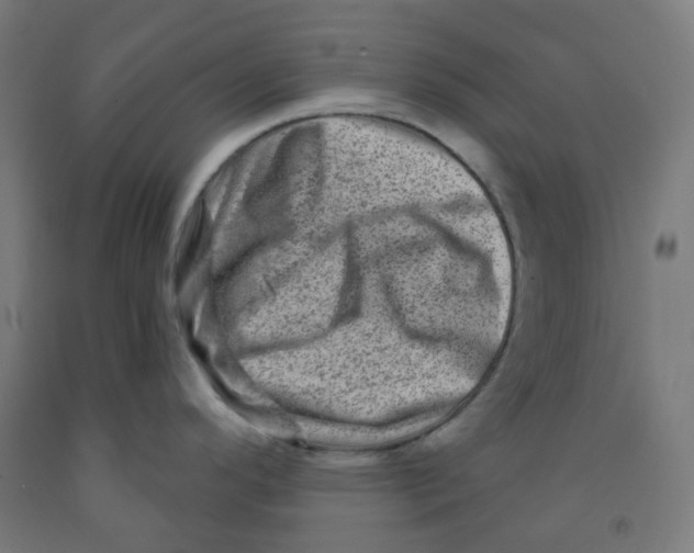 X0000091851296200710031633