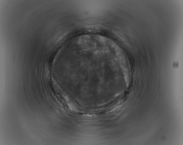 X0000091851298200710031632