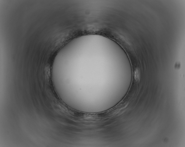 X0000091851299200710031632