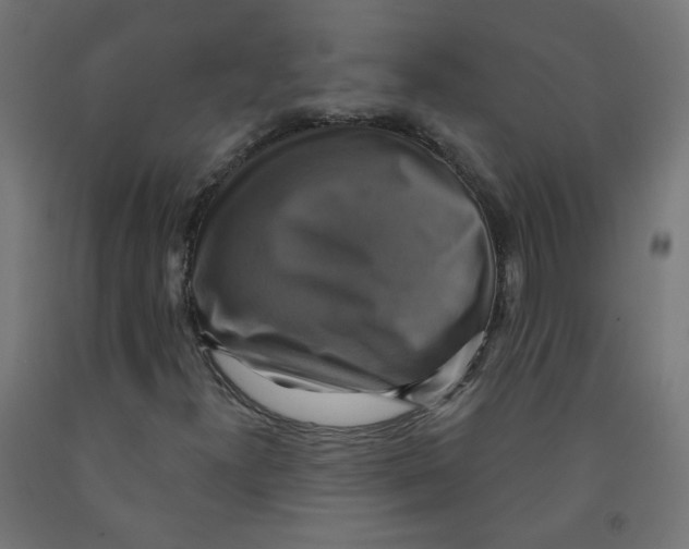 X0000091851300200710031633