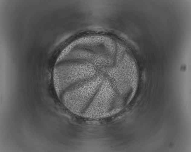 X0000091851302200710031633