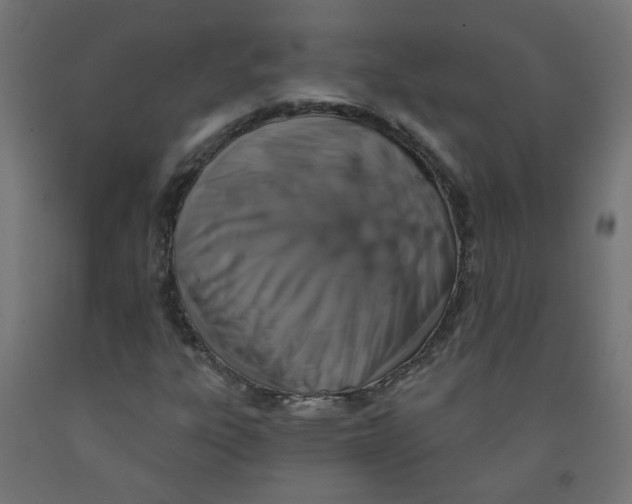 X0000091851303200710031633