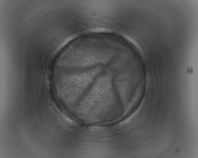 X0000091851305200710031633