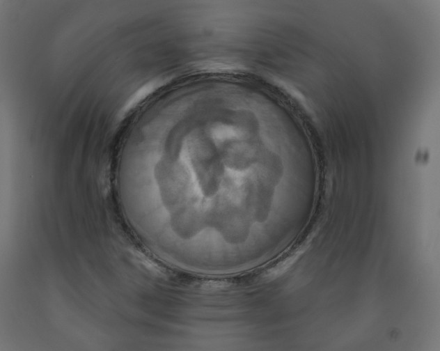 X0000091851306200710031633