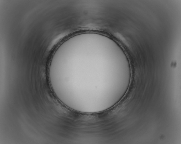 X0000091851307200710031633