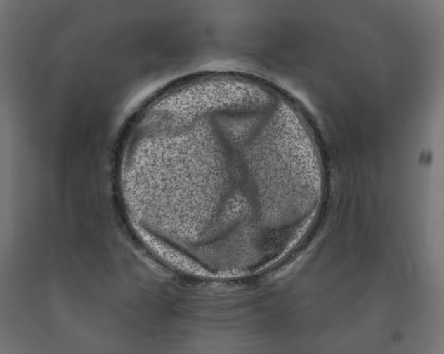 X0000091851311200710031633