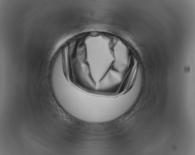 X0000091851312200710031633