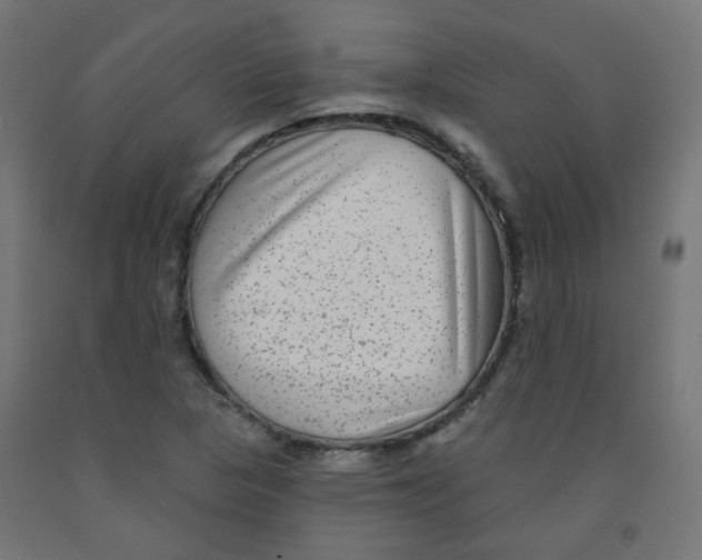 X0000091851313200710031633