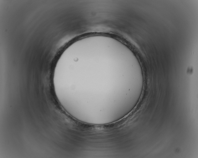 X0000091851315200710031633