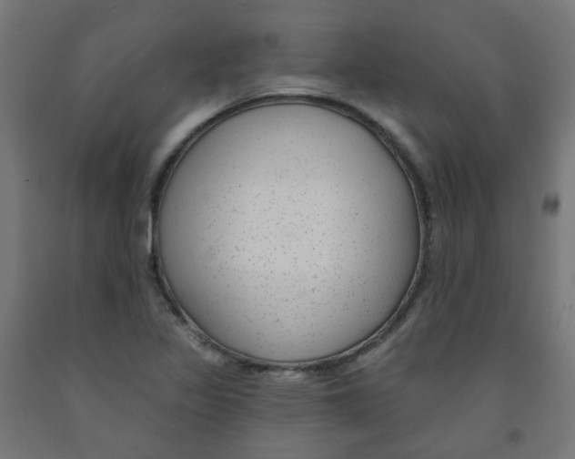X0000091851317200710031633