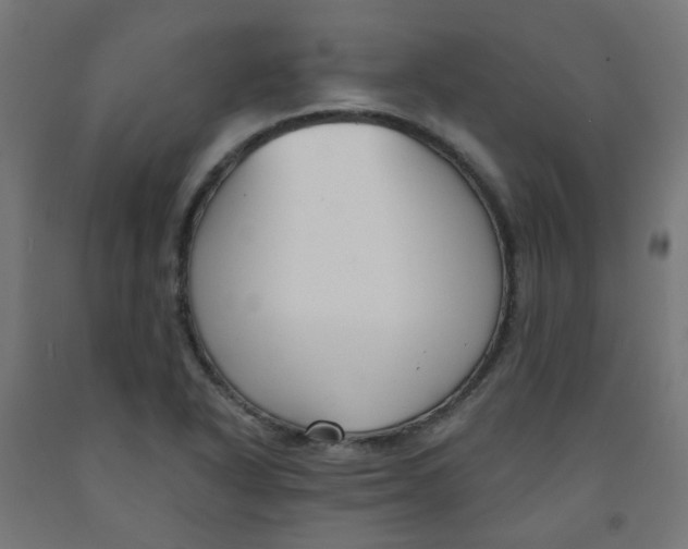 X0000091851318200710031633
