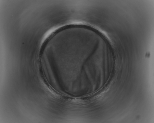 X0000091851319200710031633