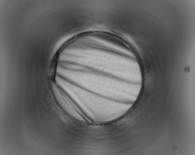 X0000091851320200710031633