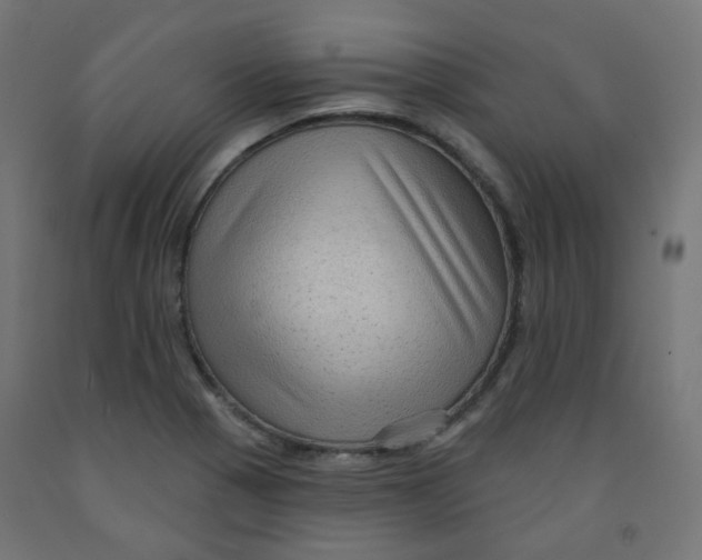 X0000091851321200710031633