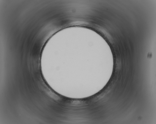 X0000091851322200710031633