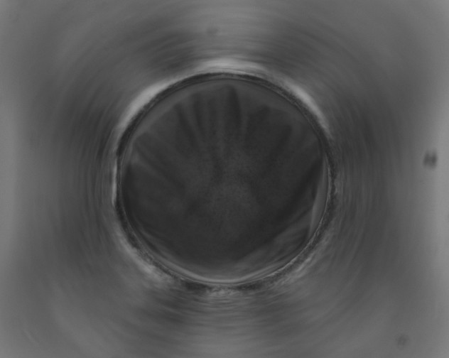 X0000091851323200710031633