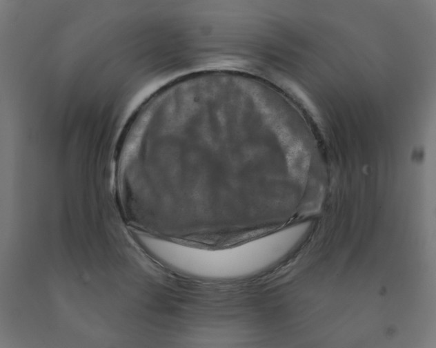 X0000091851324200710031633