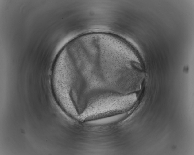 X0000091851325200710031633