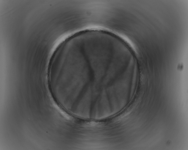 X0000091851327200710031633
