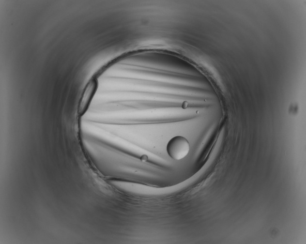 X0000091851328200710031633